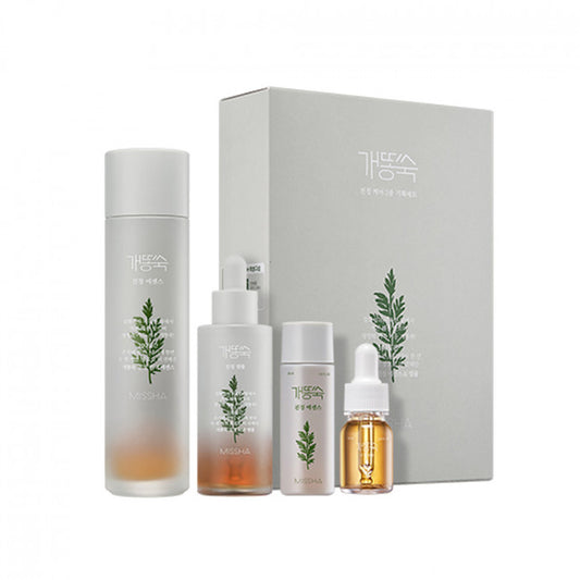 [MISSHA] Новий спеціальний набір для заспокійливого догляду Artemisia Calming Care 2 - 1 комплект (4 товари)